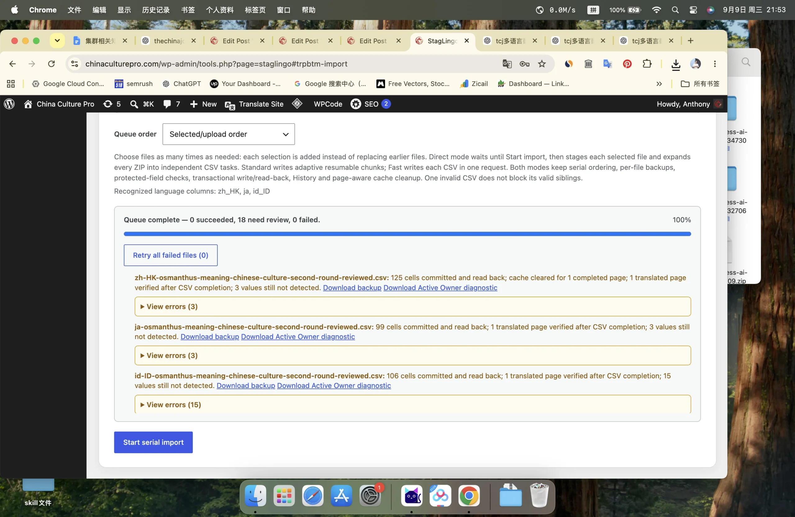 Completed StagLingo import result with committed translations and conservative front-end verification messages